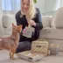 Cleverpup Bistro Box, 7-Piece Dog Food Travel Kit W/ Collapsible Bowls, Insulated Travel Bag & More image thumbnail 4