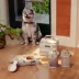 Cleverpup Bistro Box, 7-Piece Dog Food Travel Kit W/ Collapsible Bowls, Insulated Travel Bag & More image thumbnail 2