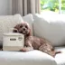 Cleverpup Bistro Box, 7-Piece Dog Food Travel Kit W/ Collapsible Bowls, Insulated Travel Bag & More image thumbnail 6