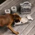 Cleverpup Bistro Box, 7-Piece Dog Food Travel Kit W/ Collapsible Bowls, Insulated Travel Bag & More image thumbnail 3