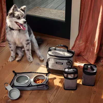 Cleverpup Bistro Box, 7-Piece Dog Food Travel Kit W/ Collapsible Bowls, Insulated Travel Bag & More - Image 2