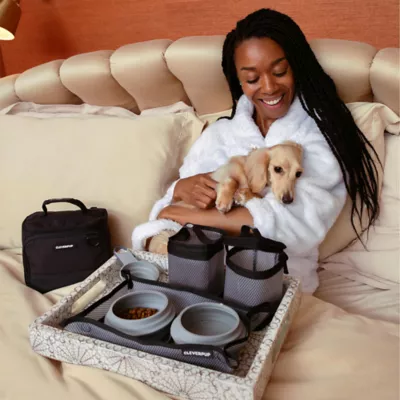 Cleverpup Bistro Box, 7-Piece Dog Food Travel Kit W/ Collapsible Bowls, Insulated Travel Bag & More - Image 2