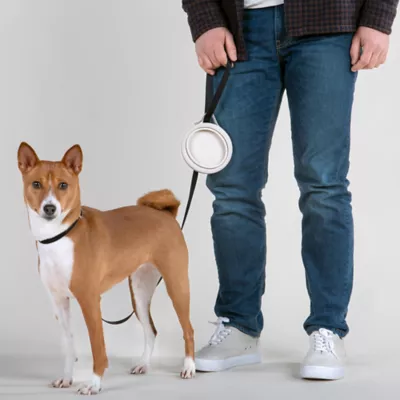 Cleverpup Nomad Collapsible Travel Bowl W/ Splash Guard Rim & Built-In Attachment Loop, Sand - Image 4
