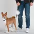 Cleverpup Nomad Collapsible Travel Bowl W/ Splash Guard Rim & Built-In Attachment Loop, Sand image thumbnail 4