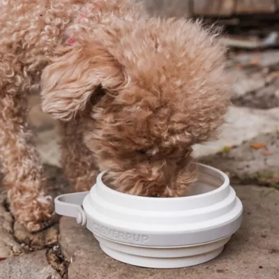 Cleverpup Nomad Collapsible Travel Bowl W/ Splash Guard Rim & Built-In Attachment Loop, Sand - Image 5