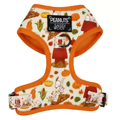 Sassy Woof Peanuts™ Harvest Fall Adjustable Dog Harness - Image 1