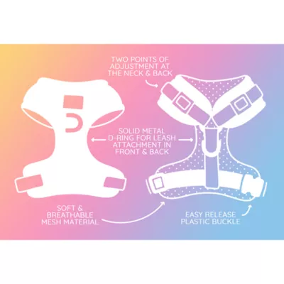 Sassy Woof Peanuts™ Harvest Fall Adjustable Dog Harness - Image 4