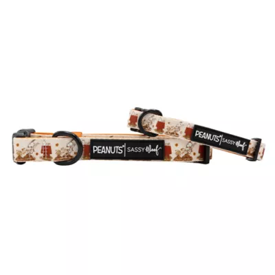 Sassy Woof Peanuts™ Harvest Fall Adjustable Dog Collar - Image 1