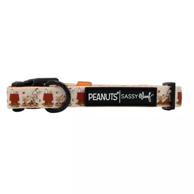 Sassy Woof Peanuts™ Harvest Fall Adjustable Dog Collar - Image 3