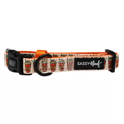 Sassy Woof Pie There! Fall Adjustable Dog Collar - Image 3
