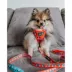 Sassy Woof Disney™ Mickey Mouse & Minnie Mouse Holiday Dog Leash, 5 FT image thumbnail 5