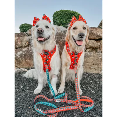 Sassy Woof Disney™ Mickey Mouse & Minnie Mouse Holiday Dog Leash, 5 FT - Image 6