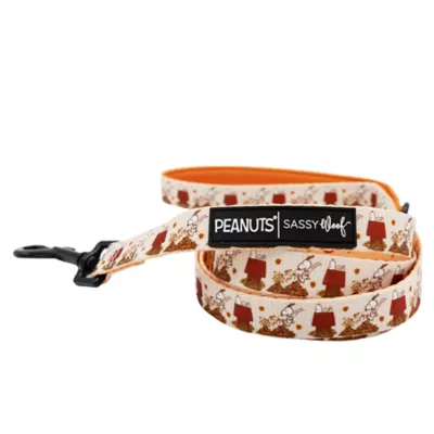 Sassy Woof Peanuts™ Harvest Fall Dog Leash, 5 FT - Image 1