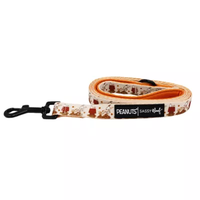Sassy Woof Peanuts™ Harvest Fall Dog Leash, 5 FT - Image 2