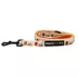 Sassy Woof Peanuts™ Harvest Fall Dog Leash, 5 FT image thumbnail 2