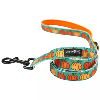 Sassy Woof Pie There! Fall Dog Leash, 5 FT - Image 1