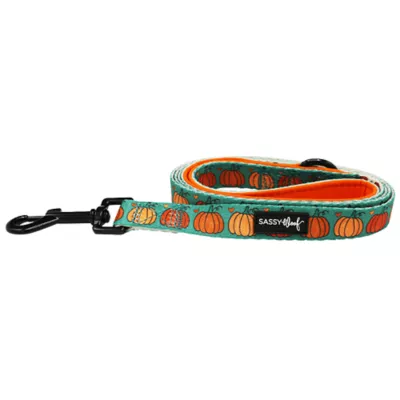 Sassy Woof Pie There! Fall Dog Leash, 5 FT - Image 2