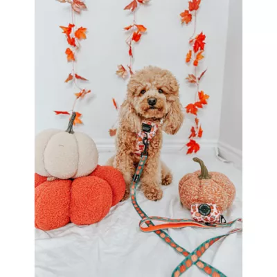 Sassy Woof Pie There! Fall Dog Leash, 5 FT - Image 4