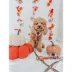Sassy Woof Pie There! Fall Dog Leash, 5 FT image thumbnail 4