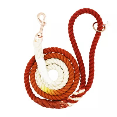 Sassy Woof Hand-Spliced Cotton Rope Dog Leash with Rose Gold Hardware, 5 ft - Image 1