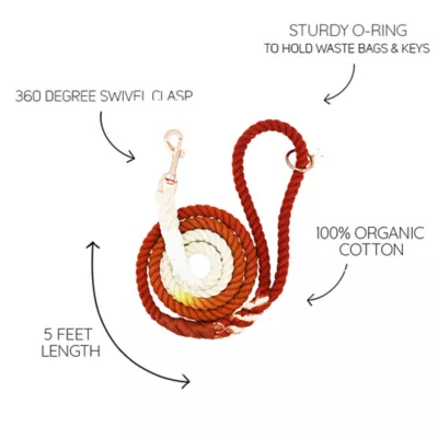 Sassy Woof Hand-Spliced Cotton Rope Dog Leash with Rose Gold Hardware, 5 ft - Image 3