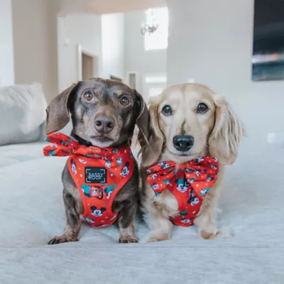 Sassy Woof Disney™ Mickey Mouse & Minnie Mouse Holiday Dog Sailor Bow, 5 x 4.5 in - Image 5