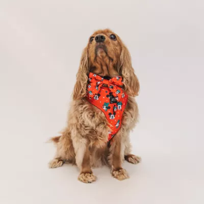 Sassy Woof Disney™ Mickey Mouse & Minnie Mouse Holiday Dog Sailor Bow, 5 x 4.5 in - Image 6