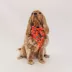 Sassy Woof Disney™ Mickey Mouse & Minnie Mouse Holiday Dog Sailor Bow, 5 x 4.5 in image thumbnail 6