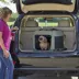 Midwest® Foldable Canine Camper Tent Crate W/ Ventilated Windows & No-Slip Feet, Green image thumbnail 3