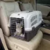 Midwest® Skudo Plastic Cat Travel Carrier W/ Fold-Down Carry Handle & Litter Box image thumbnail 3