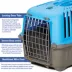 Midwest® Spree Durable Plastic Pet Carrier W/ Built-In Handle & Secure Door, Blue image thumbnail 4