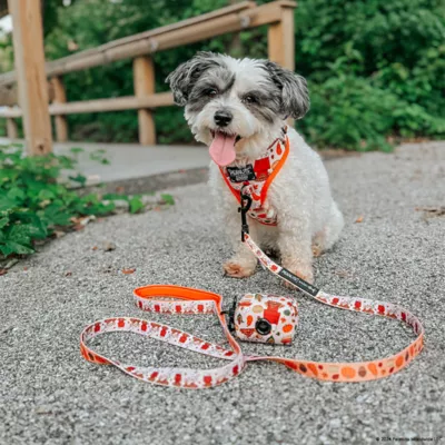 Sassy Woof Peanuts™ Harvest Neoprene Dog Waste Bag Holder with Bag Roll - Image 5