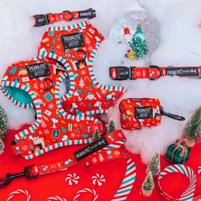Sassy Woof Peanuts™ Beagle Bells Holiday Adjustable Dog Collar - Image 5