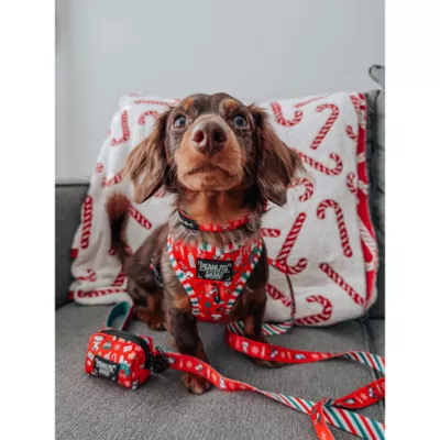 Sassy Woof Peanuts™ Beagle Bells Holiday Adjustable Dog Collar - Image 6
