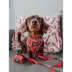 Sassy Woof Peanuts™ Beagle Bells Holiday Adjustable Dog Collar image thumbnail 6