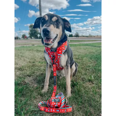 Sassy Woof Peanuts™ Beagle Bells Holiday Adjustable Dog Harness - Image 7