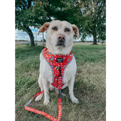 Sassy Woof Peanuts™ Beagle Bells Holiday Adjustable Dog Harness - Image 8