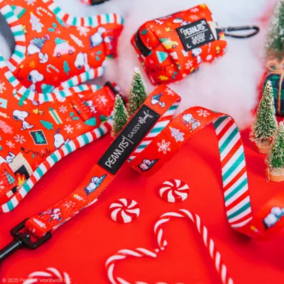 Sassy Woof Peanuts™ Beagle Bells Holiday Dog Leash, 5 FT - Image 5
