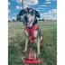 Sassy Woof Peanuts™ Beagle Bells Holiday Neoprene Dog Waste Bag Holder with Bag Roll image thumbnail 6