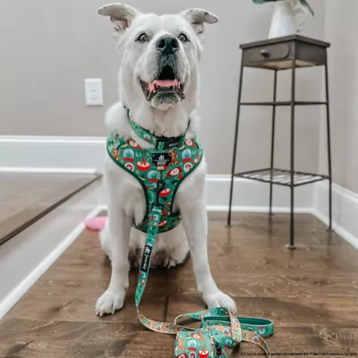 Sassy Woof Elf™ Holiday Adjustable Dog Collar - Image 6