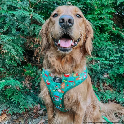 Sassy Woof Elf™ Holiday Adjustable Dog Harness - Image 8