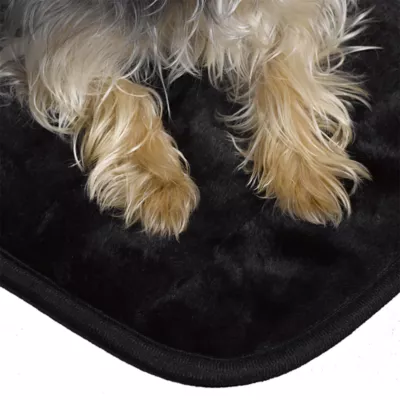 Midwest® Puppy Starter Kit, Includes Crate Mat, Puppy Pads, Feeding Bowls & More - Image 3