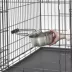 Midwest® Puppy Starter Kit, Includes Crate Mat, Puppy Pads, Feeding Bowls & More image thumbnail 4