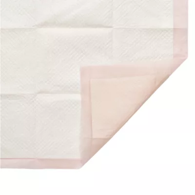 Midwest® Puppy Starter Kit, Includes Crate Mat, Puppy Pads, Feeding Bowls & More - Image 6