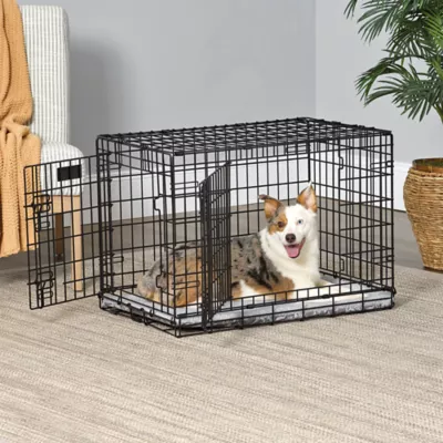 Midwest® QuietTime Pan Covers, Dog Crate Pan Cover, Grey Floral Print - Image 5