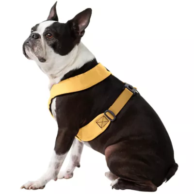 Gooby Comfort X Dual Snap Dog Harness - Image 1