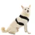Gooby Comfort X Dual Snap Mesh Dog Harness image thumbnail 1