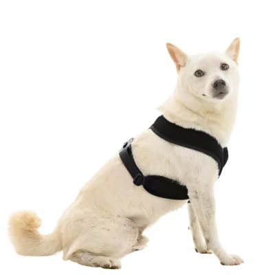 Gooby Comfort X Dual Snap Mesh Dog Harness - Image 1