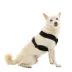 Gooby Comfort X Dual Snap Mesh Dog Harness image thumbnail 1
