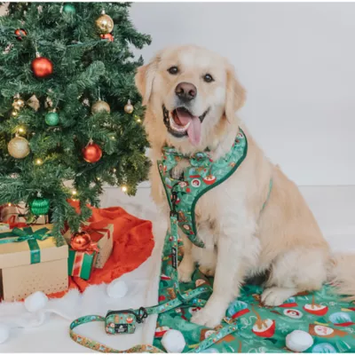 Sassy Woof Elf™ Holiday Adjustable Dog Harness - Image 7